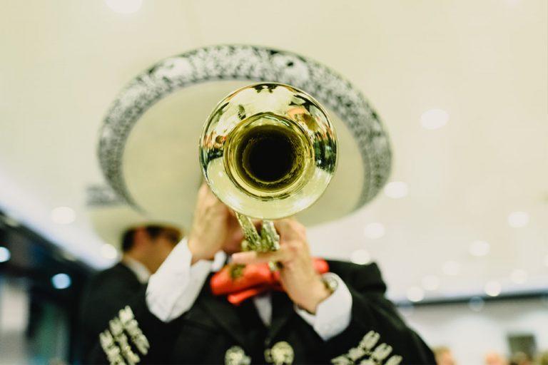 Mariachi en Ciudad de México - Mariachi de mi Tierra